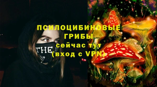 шишки Верхнеуральск